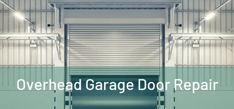  Overhead Garage Door Repair 